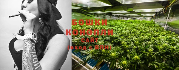 мдпв Кукмор