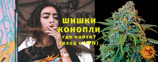 мдпв Кукмор