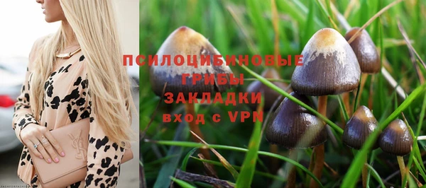 мдпв Кукмор