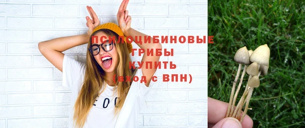 МДПВ Кулебаки