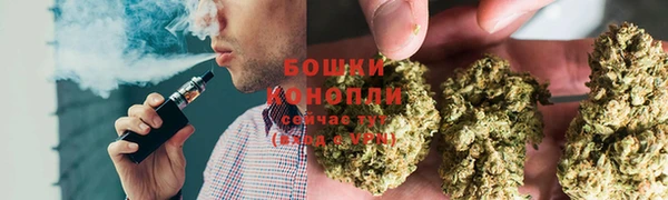 мдпв Кукмор
